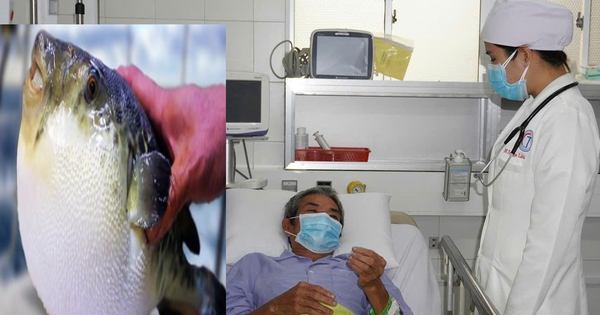 3 người ở Cần Thơ gặp nguy hiểm sau khi ăn canh chua cá nóc