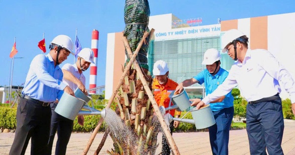 Nhiệt điện Vĩnh Tân phát động Tết trồng cây, phủ xanh hơn 23 ha khuôn viên