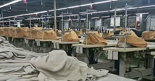 Bị nợ lương từ 6 tháng, người lao động có quyền yêu cầu áp dụng thủ tục phá sản doanh nghiệp