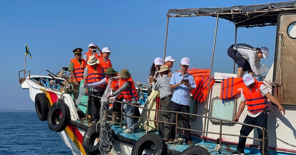 Thả hơn 1,1 triệu con giống tái tạo nguồn lợi thủy sản vùng biển Hòn Cau