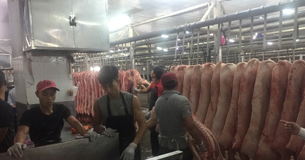 Giá heo hơi hôm nay, 30-3: Chợ đầu mối có giá mới