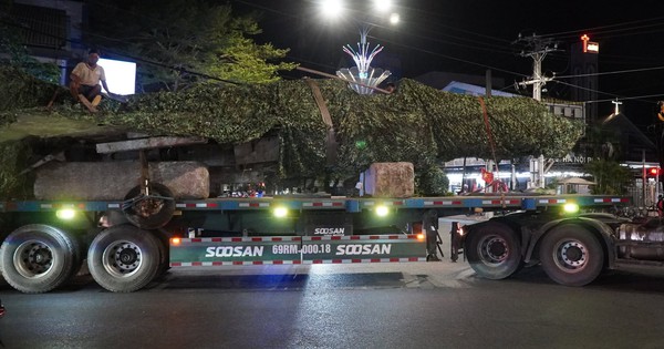 Di dời chiếc máy bay MiG-21 bị "bỏ quên" hơn 40 năm ở Cà Mau
