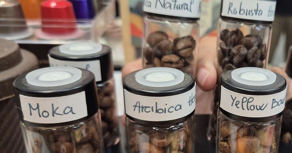 Giá cà phê hôm nay 29-3: Dự báo đáng chú ý