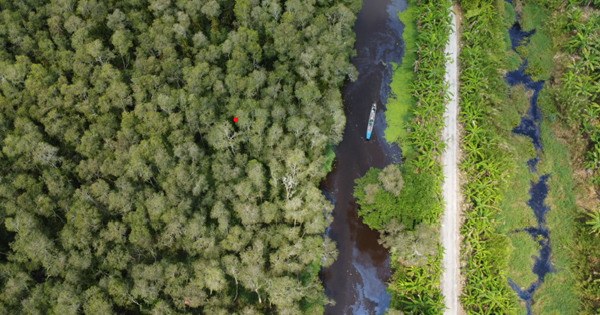 Sẵn sàng ứng phó trước nguy cơ cháy rừng ở U Minh Hạ