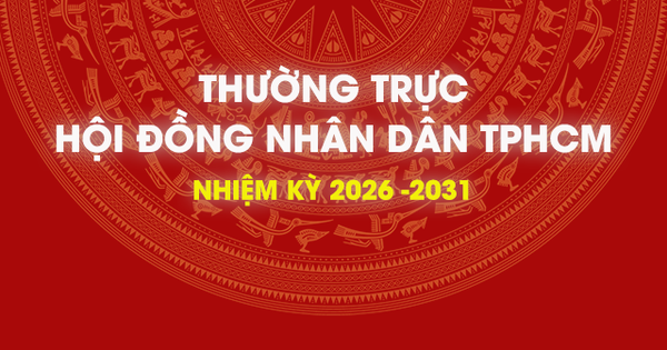 [Infographic] Thường trực HĐND TPHCM khoá XI, nhiệm kỳ 2026-2031