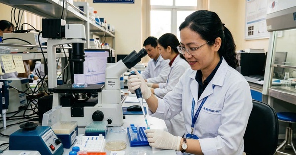 Đối tượng nào được ký hợp đồng lao động trong đơn vị sự nghiệp công lập?