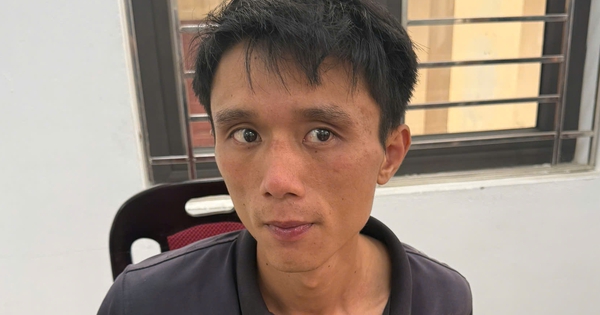 Bắt nghi phạm sát hại cụ bà 87 tuổi, phi tang thi thể tại vườn chuối