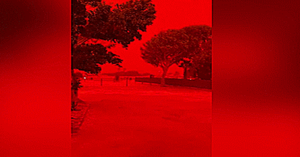 VIDEO: Cảnh tượng kỳ lạ ở Úc khiến dân mạng nghi “tận thế thật rồi”