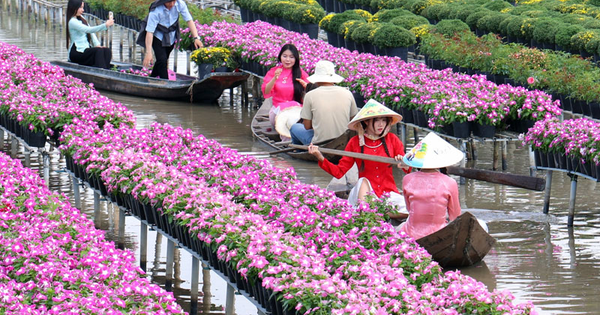 DongThapToplist nâng cao trải nghiệm tìm kiếm thông tin địa phương Đồng Tháp