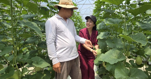 Quỹ hỗ trợ cộng đồng David Dương giúp người dân vươn lên làm giàu