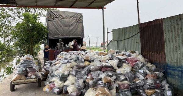 Cựu Phó cục trưởng Hải quan nhận hối lộ 800 triệu đồng giúp doanh nghiệp làm hàng giả thông quan