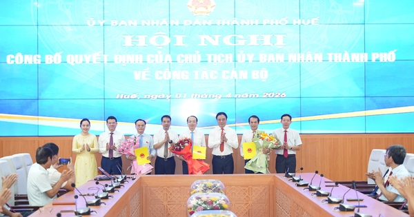 Hai Phó Chủ tịch UBND TP Huế được điều động giữ chức vụ mới