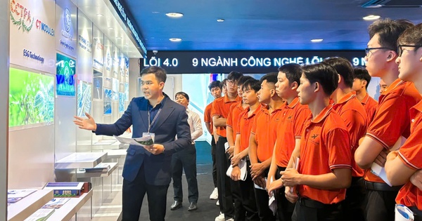 CHỦ ĐỘNG VIỆC LÀM THỜI AI (*): Kỹ năng quyết định cơ hội