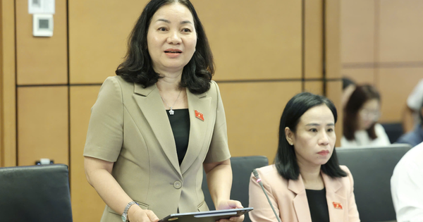 Đại biểu nêu bất cập khi dịch vụ công số "khai online vẫn phải nộp bản giấy"