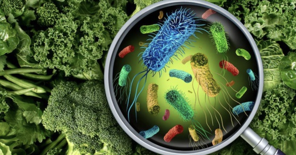 Vụ hàng chục học sinh tiểu học sốt, đau bụng: Nguyên nhân ban đầu hé lộ điều gì?