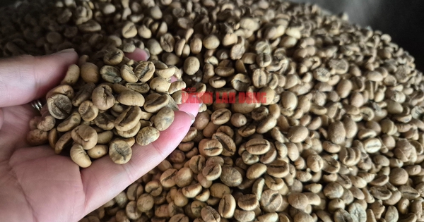 Giá cà phê ngày 10-4: Robusta và Arabica cùng giảm
