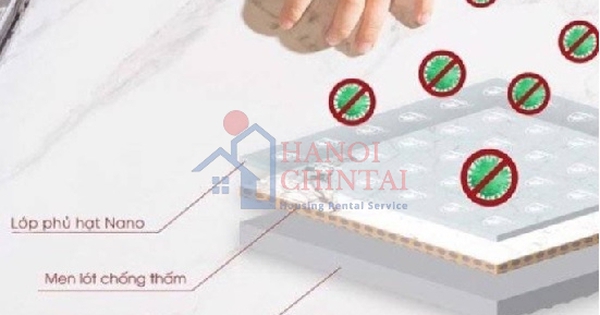 Chọn gạch cho nhà của bạn