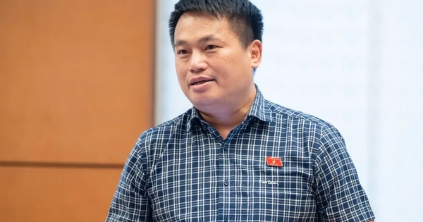 Đại biểu Quốc hội: Dự trữ xăng dầu là 