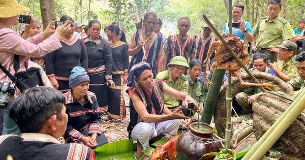 Độc đáo Lễ cúng rừng thu hút hàng ngàn người ở Gia Lai