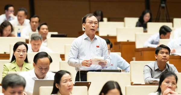 Đại biểu Quốc hội: Thế nào là 