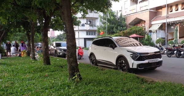 Người đàn ông ở TPHCM bị bạn gái đâm tử vong