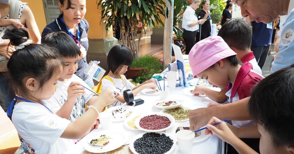 Tiếng Pháp là ngoại ngữ được học nhiều thứ hai tại Việt Nam