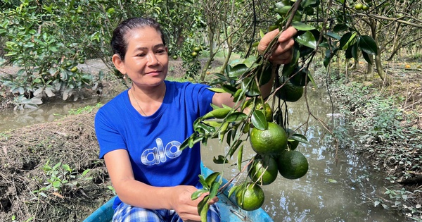 Điểm tựa cho phụ nữ khởi nghiệp