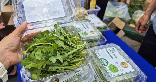 Bất ngờ về loại rau 350.000 đồng/kg vẫn được người ở TP HCM xem là “rẻ”