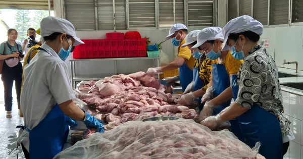 Đề xuất bổ sung loạt công việc vào danh mục an toàn lao động nghiêm ngặt