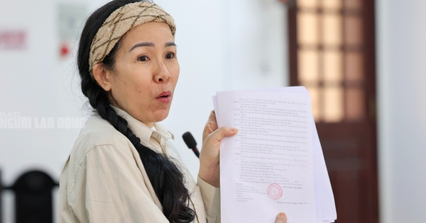 Bị cáo Đinh Lan sắp ra toà phúc thẩm vì loạt video xuyên tạc bà Nguyễn Phương Hằng