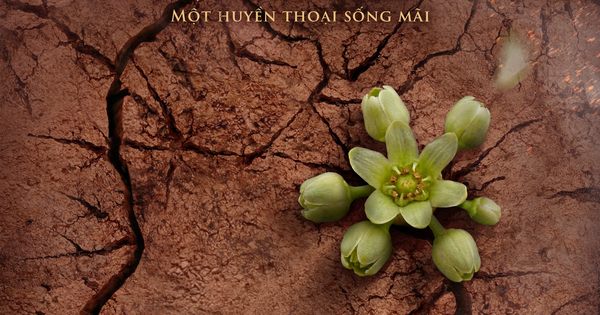 Huyền thoại Võ Thị Sáu trở lại màn ảnh rộng sau hơn 30 năm