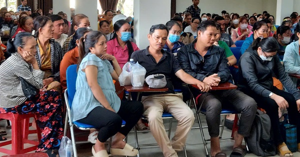 TPHCM: Công khai 100 doanh nghiệp nợ BHXH từ 6 tháng trở lên với số nợ tiền tỉ