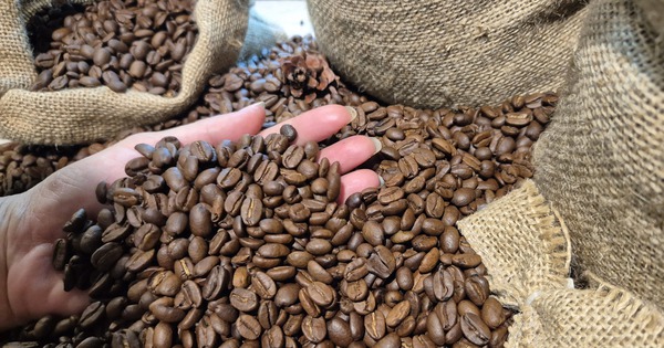 Giá cà phê hôm nay 14-4: Tăng trở lại, Mỹ tăng tốc nhập cà phê Việt