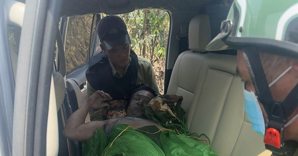 Gia Lai: Bị ong đốt khi tuần tra rừng, một người tử vong, nhiều người bị thương