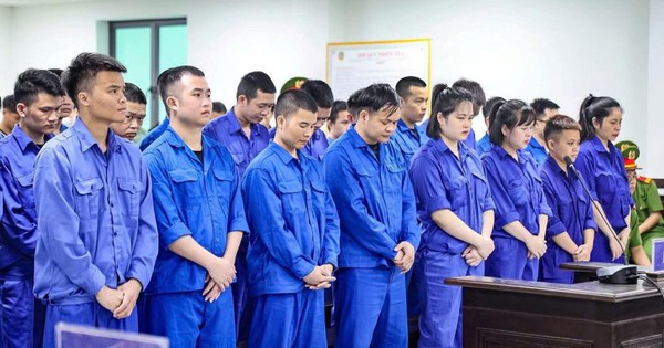Lừa đảo, mua bán người xuyên quốc gia, 54/117 bị cáo lĩnh án 384 năm tù giam
