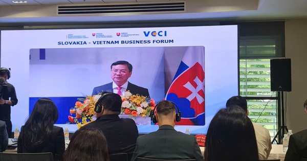 TPHCM mời doanh nghiệp Slovakia đồng hành xây dựng Trung tâm tài chính quốc tế