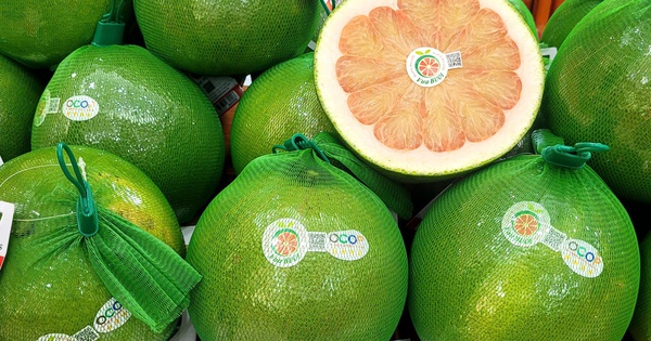 Thêm 2 loại trái cây phổ biến của Việt Nam được xuất chính ngạch sang Trung Quốc