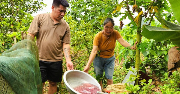 Tìm ra nguyên nhân vụ nước giếng khoan đổi màu tím bất thường