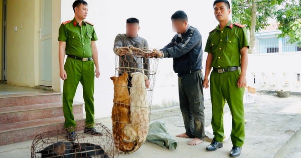 Tuần tra khu vực ruộng đồng, gặp 2 "cẩu tặc" trộm 3 con chó