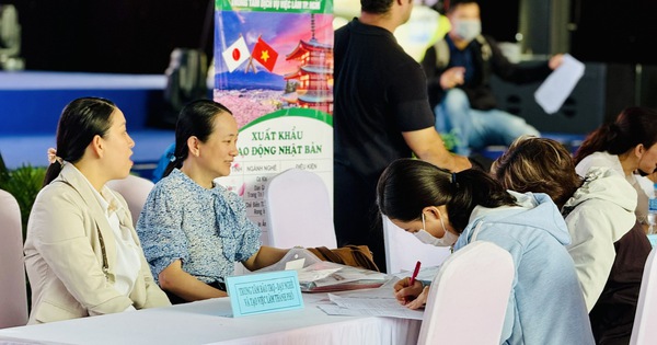 Lao động thất nghiệp học nghề: Được hỗ trợ tiền ăn, học phí ra sao?