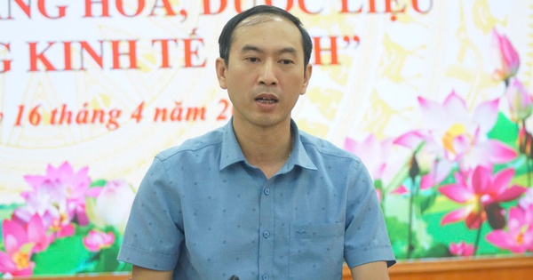 Nỗ lực đưa “quốc bảo” sâm Lai Châu vào danh mục dược điển Việt Nam