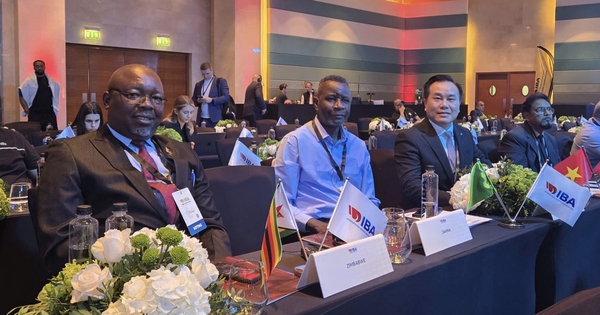 Liên đoàn Quyền Anh Việt Nam có tân chủ tịch