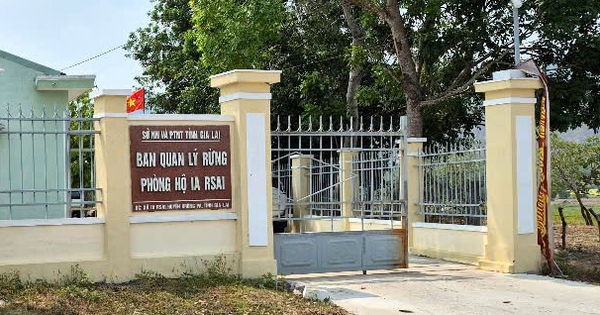 Bắt tạm giam một trưởng ban quản lý rừng phòng hộ