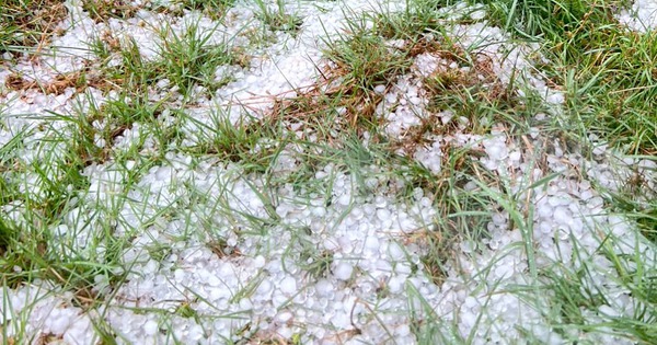 Mưa đá gây hại nặng nề, Phó Chủ tịch UBND tỉnh Quảng Ngãi tới hiện trường kiểm tra