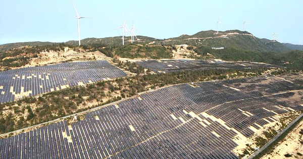 Gia Lai chấp thuận nhà đầu tư thực hiện 4 dự án điện gió, điện mặt trời