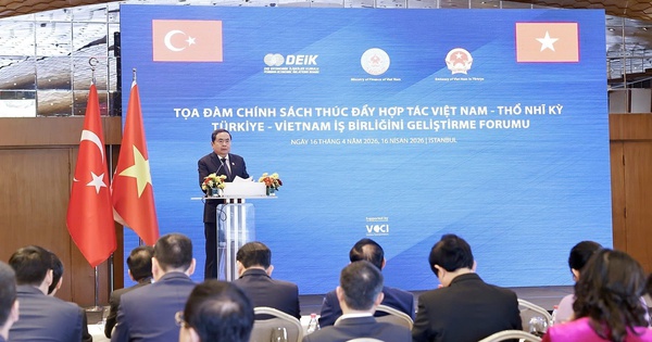 Việt Nam - Thổ Nhĩ Kỳ thúc đẩy hợp tác