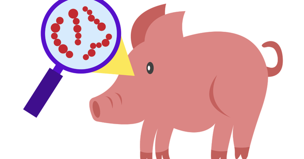 Ăn thịt heo chưa nấu chín, người đàn ông ở TPHCM nguy kịch