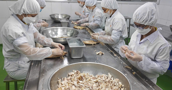 Hỗ trợ vốn cho doanh nghiệp TP HCM