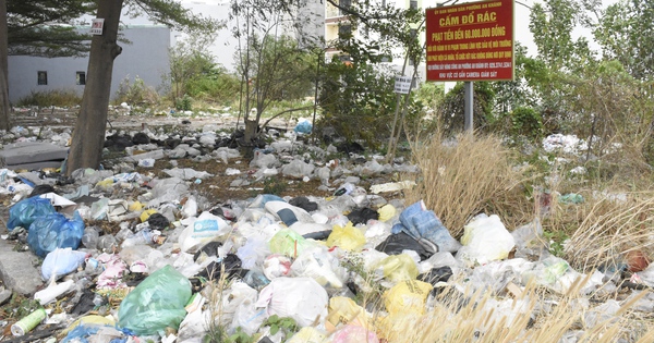 Hình ảnh rác thải “tái xuất” ở TPHCM, cứ dọn xong lại đầy