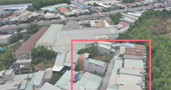 Toàn cảnh vụ 48 căn nhà xây trái phép trên khu đất hơn 6.400 m² ở TPHCM